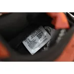 Nike Dunk Low Red Panda  FV0395-200 