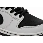 Nike Dunk Low SB AE86 AE1391-086