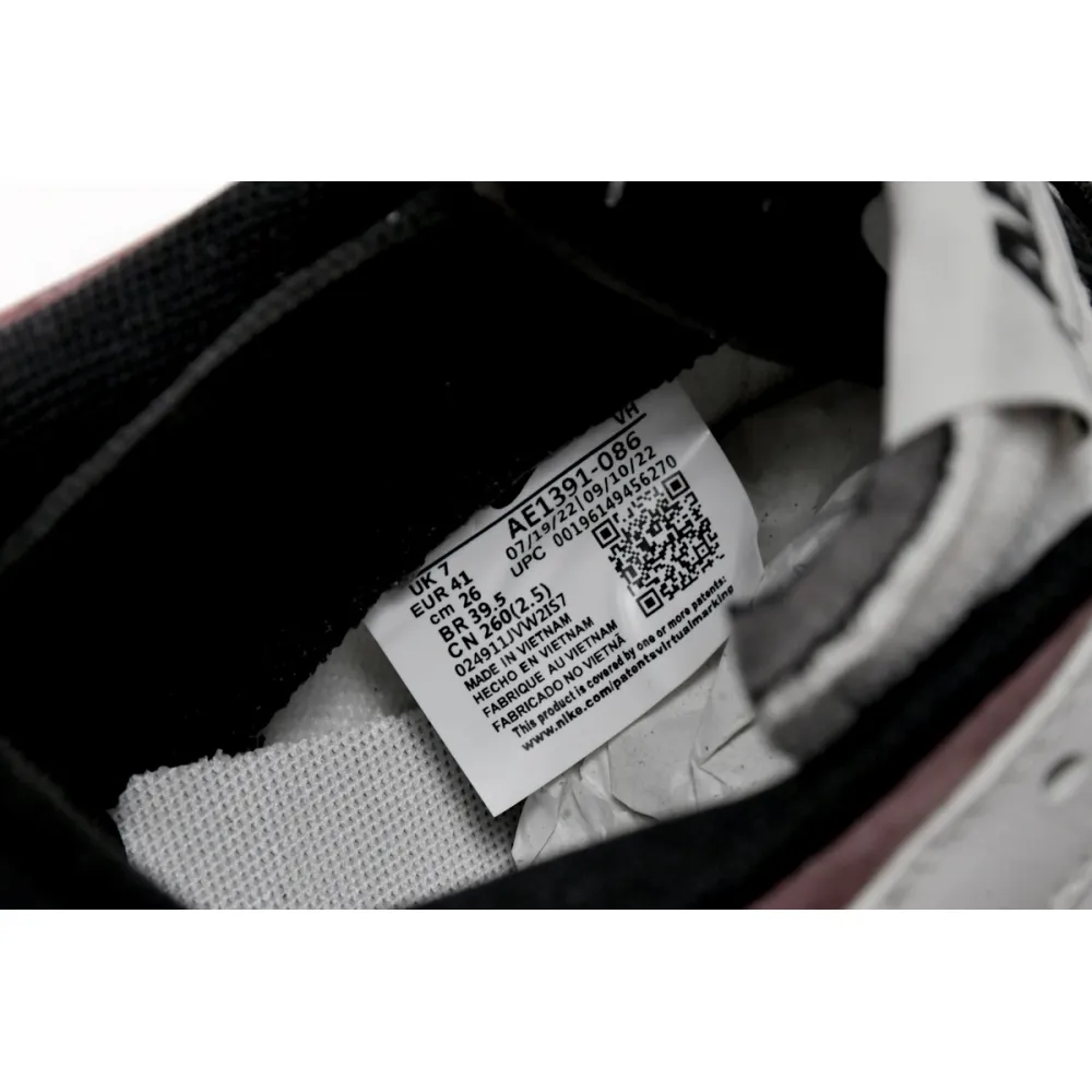 Nike Dunk Low SB AE86 AE1391-086