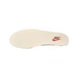 Nike Dunk Low Terry Swoosh (Women's) DZ4706-200