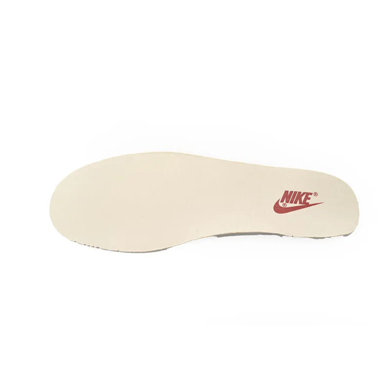 Nike Dunk Low Terry Swoosh (Women's) DZ4706-200