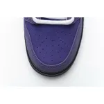 Nike SB Dunk Low Concepts Purple Lobster BV1310 555 