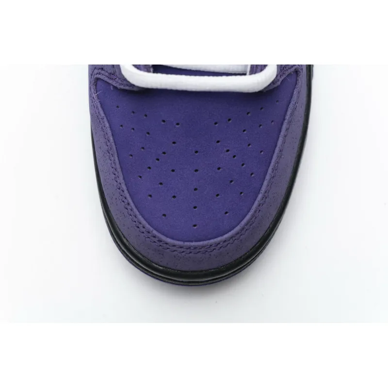 Nike SB Dunk Low Concepts Purple Lobster BV1310 555 