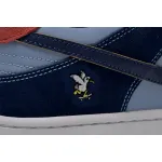 Nike SB Dunk Low Pro Why So Sad DX5549-400 