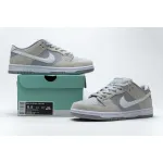 Nike SB Dunk Low Summit White Wolf Grey AR0778-110