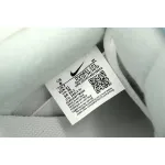  Nike Dunk Low Crown Prince Ao Bingsan DV0831-101