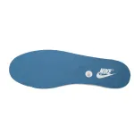  Nike Dunk Low Experienced Player  DV0834-101
