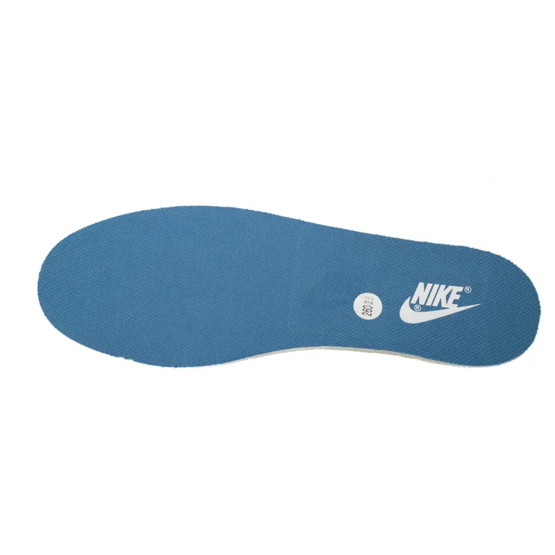  Nike Dunk Low Experienced Player  DV0834-101