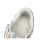  Nike Dunk Low Interstellar gray white  DV0831-101