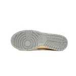  Nike Dunk Low Roaming Plan FJ5429-133