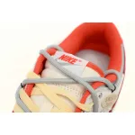  Nike Dunk Low Roaming Plan FJ5429-133