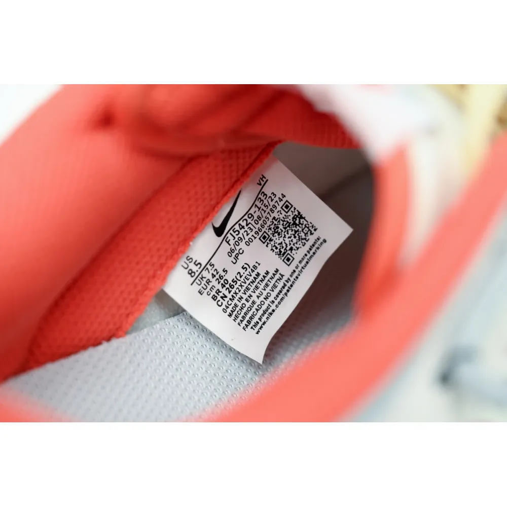  Nike Dunk Low Roaming Plan FJ5429-133