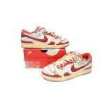  Nike Dunk Low Roaming Plan FJ5429-133