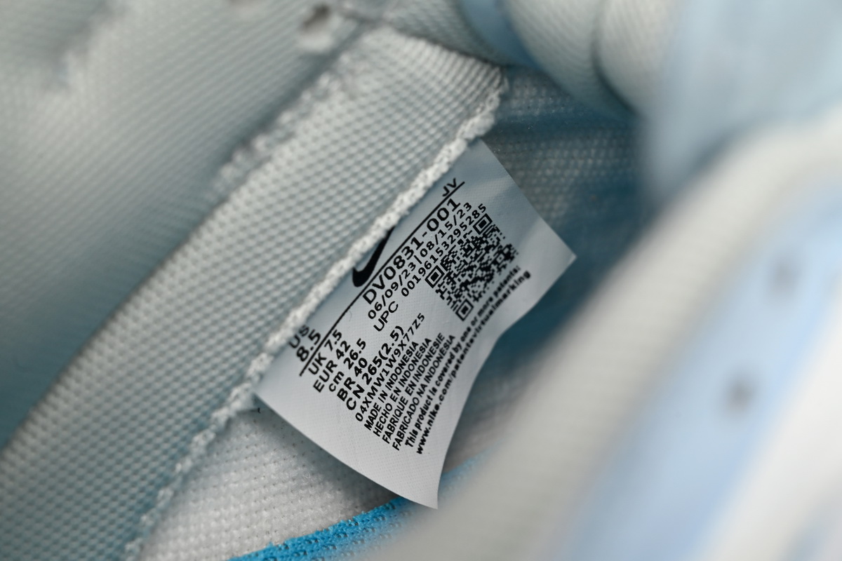  Nike Dunk Low The Renaissance  DV0831-001