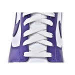 Nike Dunk Low Championship Court Purple DD1391-104 