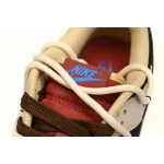 Nike Dunk Low Hiking in the mountains and wilderness DR9704-200