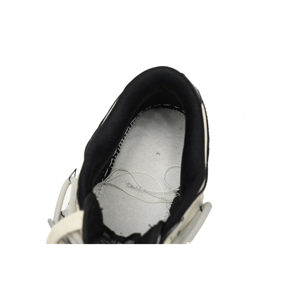 Nike Dunk Low Interstellar black and white   DD1391-100