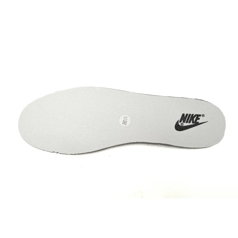 Nike Dunk Low Interstellar black and white   DD1391-100