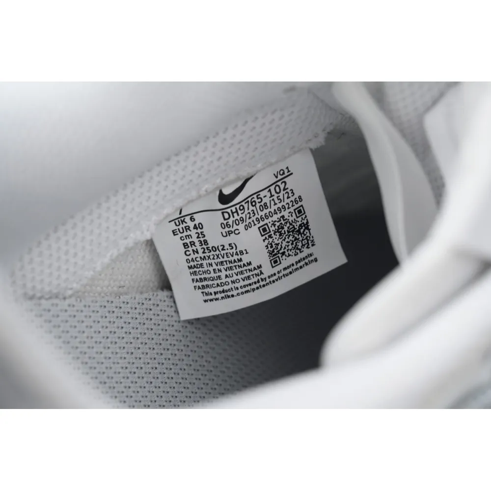 Nike Dunk Low Light Silver Ballet  DH9765-102 