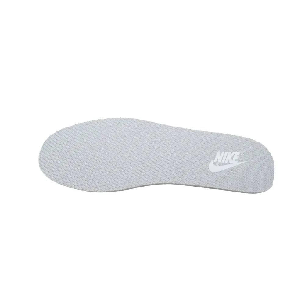 Nike Dunk Low Light Silver Ballet  DH9765-102 