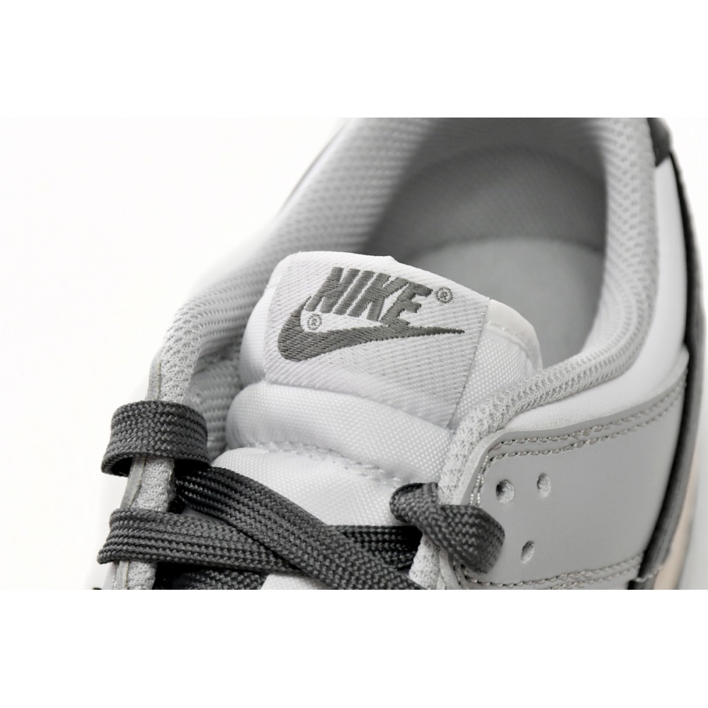 Nike Dunk Low Light Smoke Grey (Women's) DD1503-117 