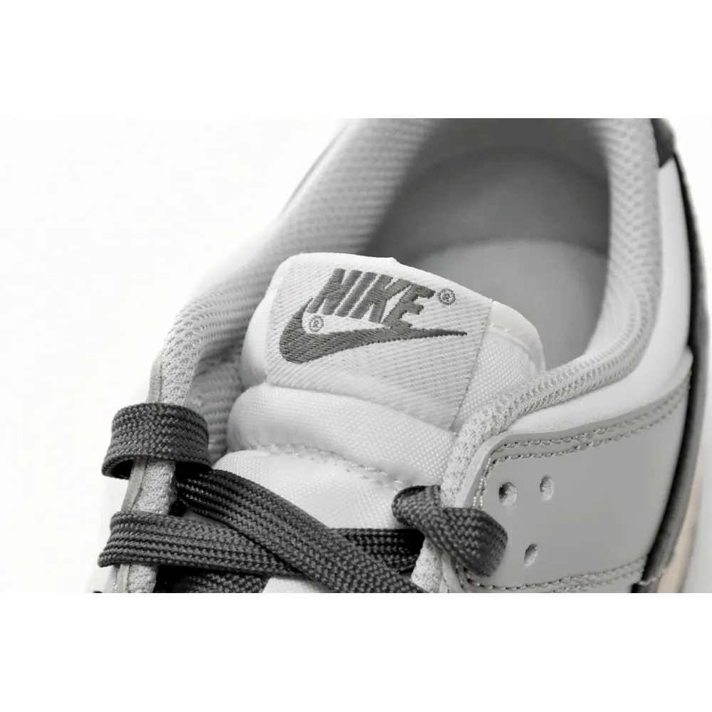 Nike Dunk Low Light Smoke Grey (Women's) DD1503-117 