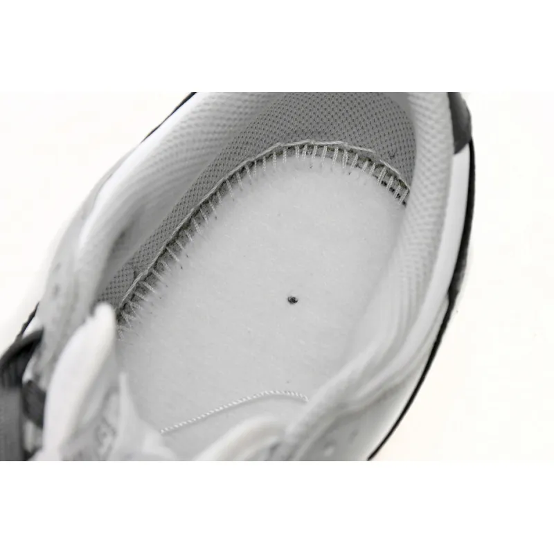 Nike Dunk Low Light Smoke Grey (Women's) DD1503-117 