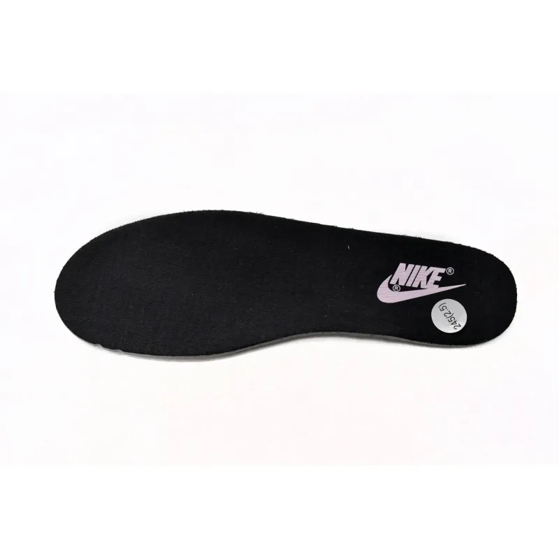 Nike Dunk Low Pink Foam Black (Women's)  DJ9955-600
