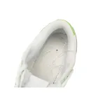 Nike Dunk Low Qingti Milk Green  DN1431-102