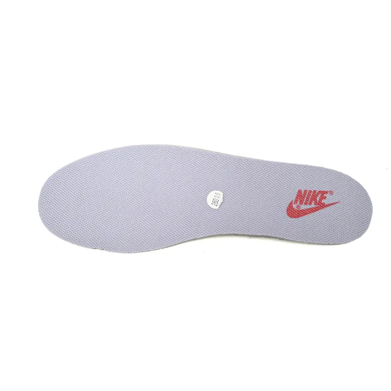 Nike Dunk Low Raspberry White Delicate  DD1503-500