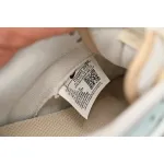 Nike Dunk Low Sea salt Coconut Cloud  DV0831-003 