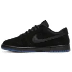 Nike Dunk Low SP Undefeated 5 On It Black DO9329-001 