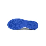 Nike Dunk Low The Cold Winter Has Arrived  DV0831-104