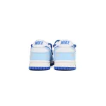 Nike Dunk Low The Cold Winter Has Arrived  DV0831-104