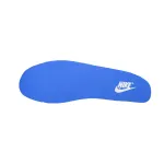 Nike Dunk Low The Cold Winter Has Arrived  DV0831-104