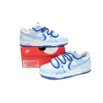 Nike Dunk Low The Cold Winter Has Arrived  DV0831-104