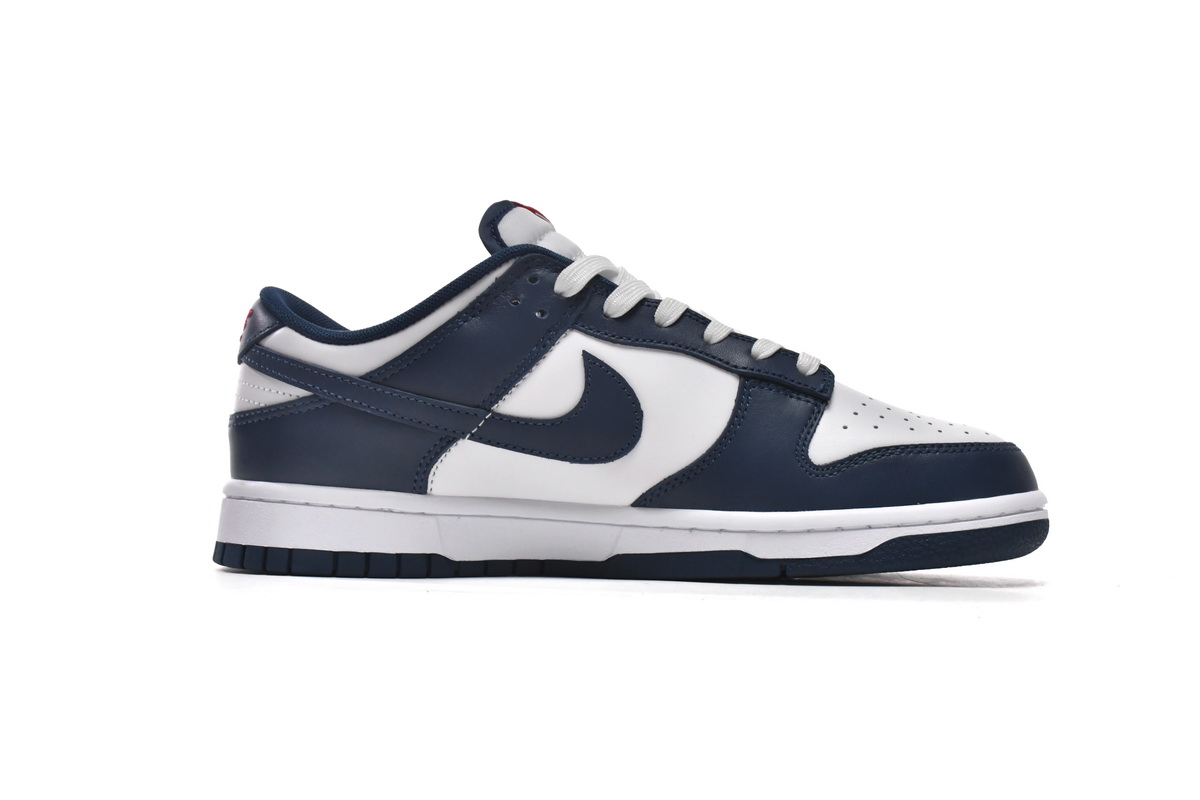 Nike Dunk Low Valerian Blue  DD1391-400