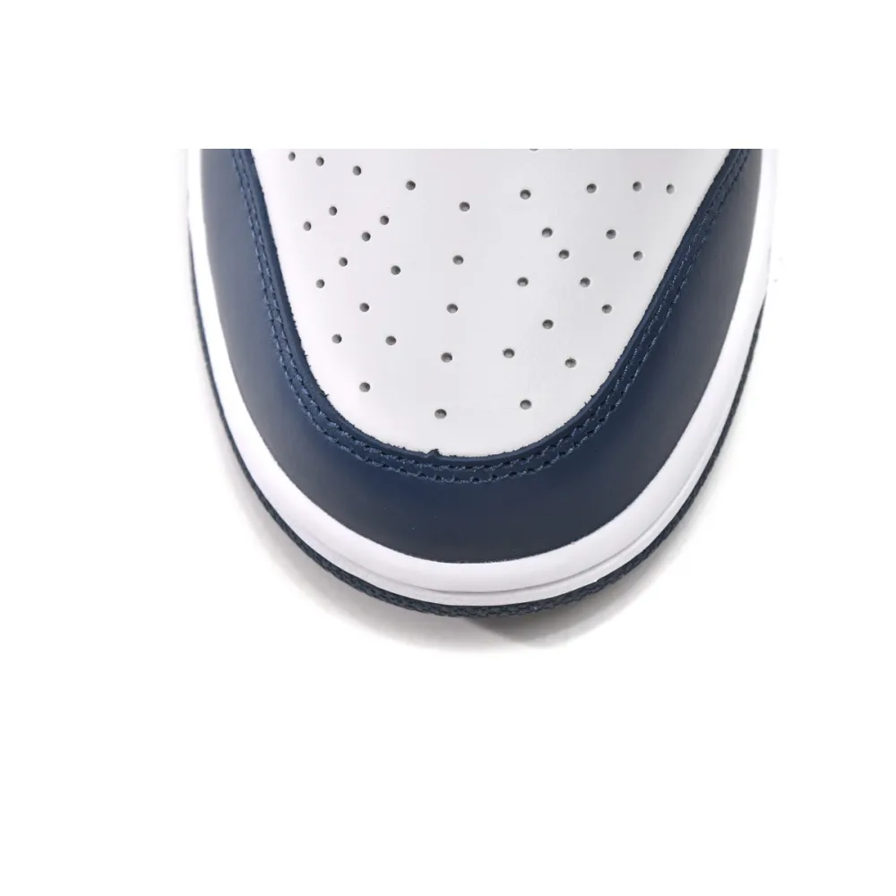 Nike Dunk Low Valerian Blue  DD1391-400