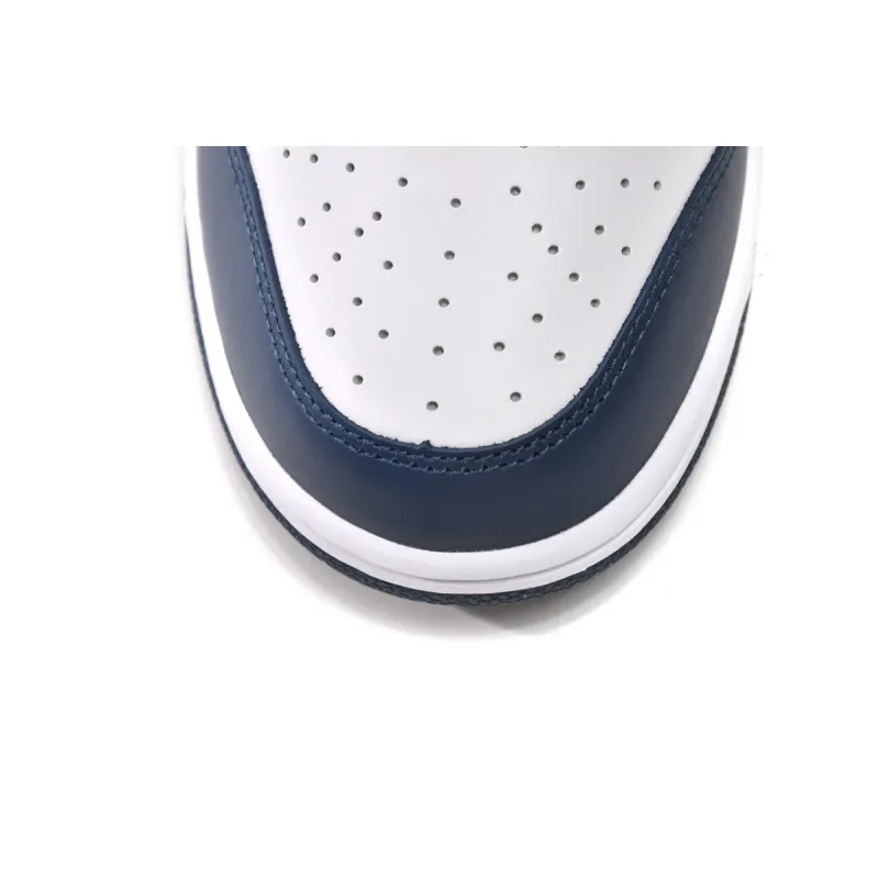 Nike Dunk Low Valerian Blue  DD1391-400