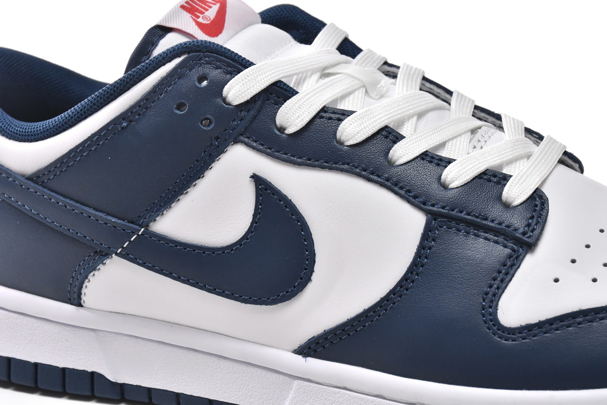 Nike Dunk Low Valerian Blue  DD1391-400