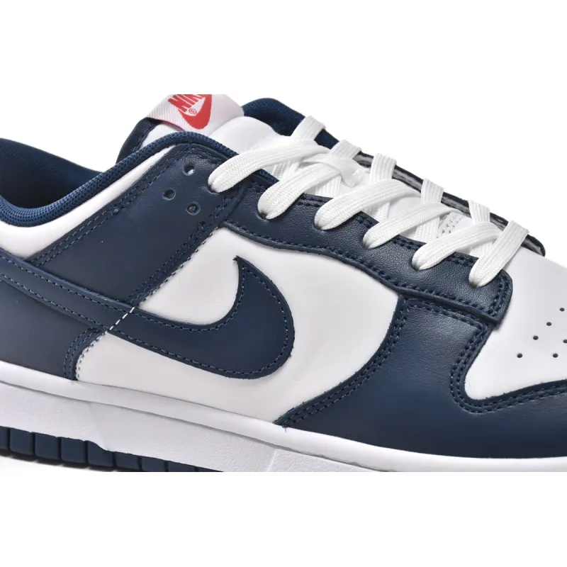 Nike Dunk Low Valerian Blue  DD1391-400