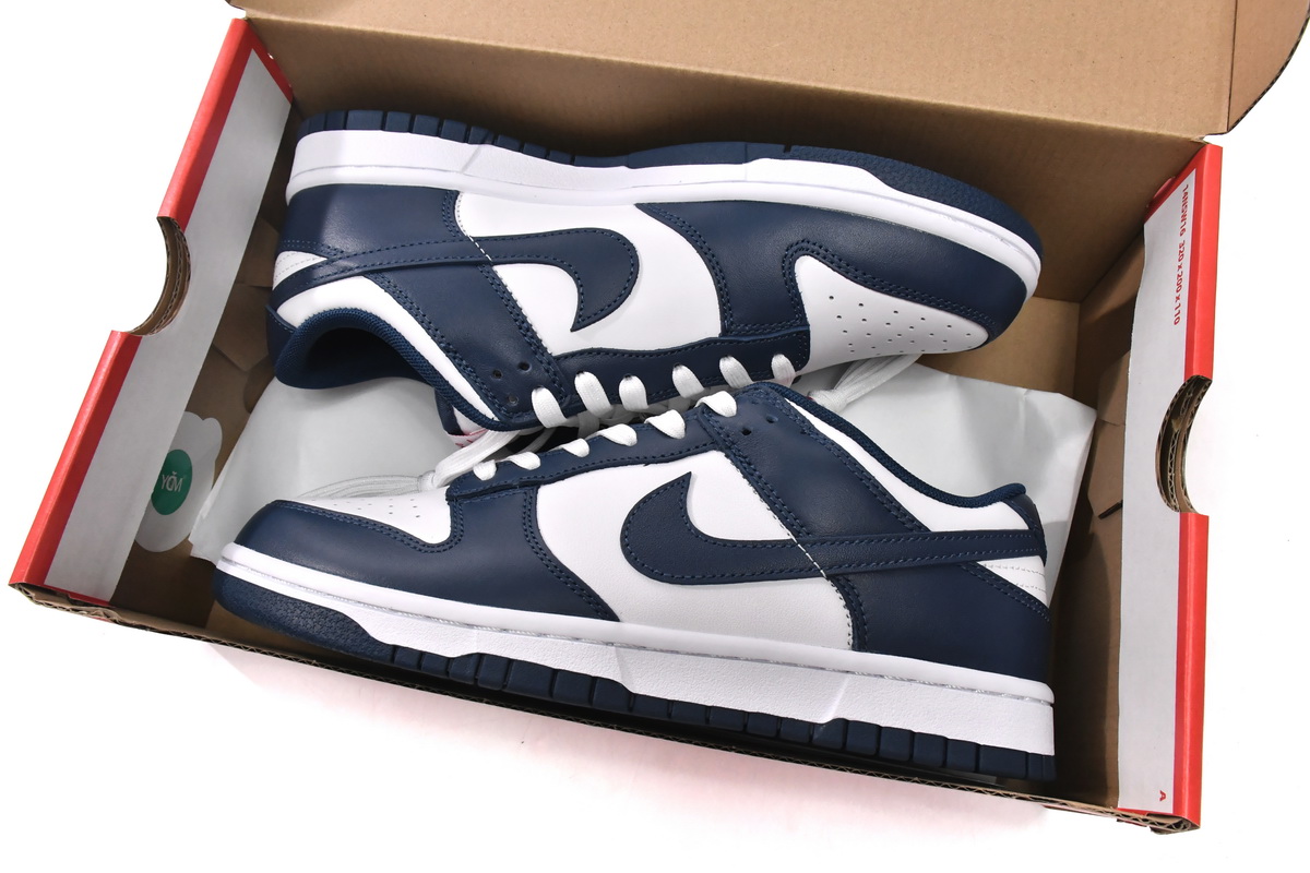 Nike Dunk Low Valerian Blue  DD1391-400