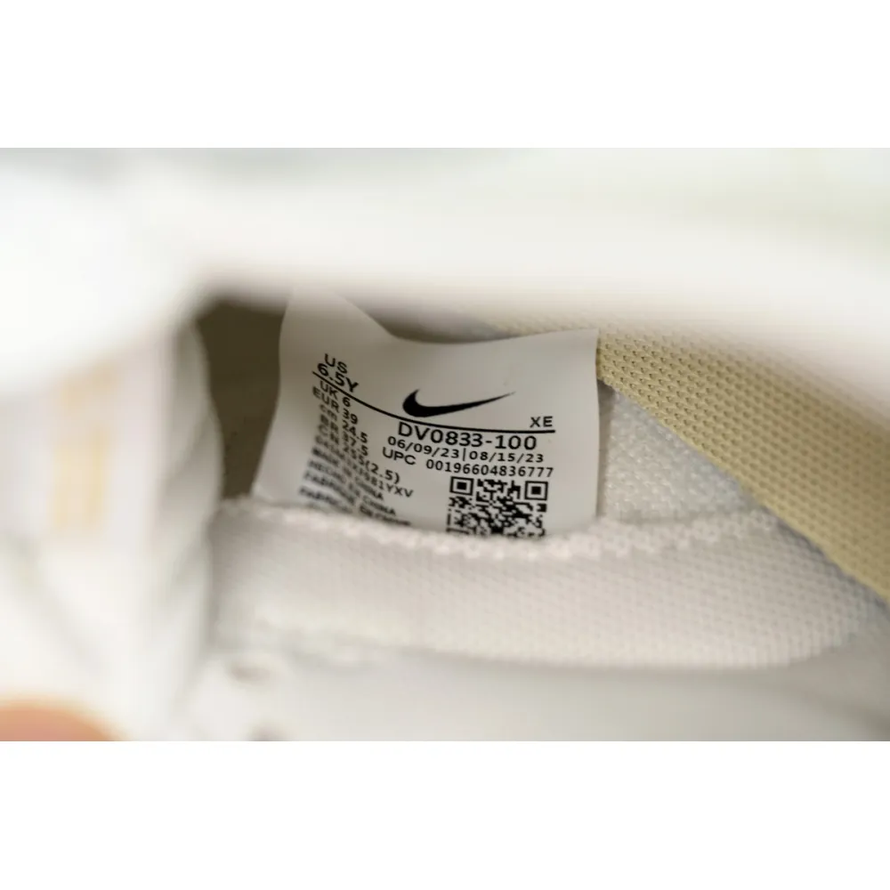 Nike Dunk Low Yinlong  DV0833-100