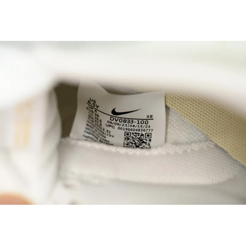 Nike Dunk Low Yinlong  DV0833-100