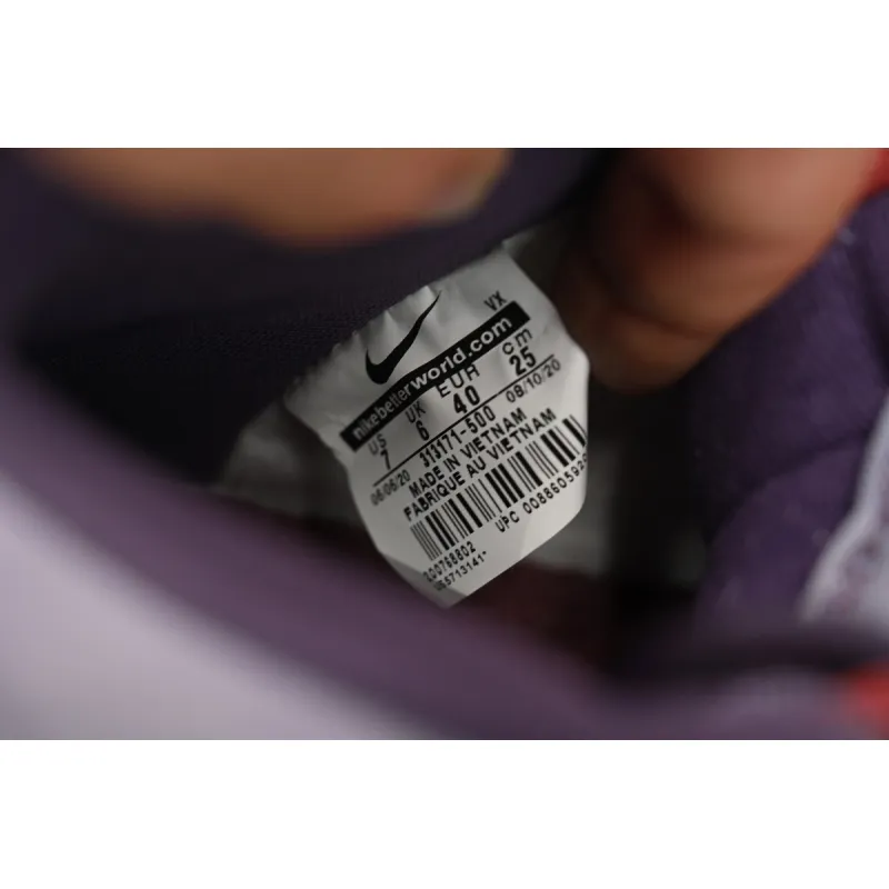 Nike SB Dunk High Daybreak Plum 313171-500 