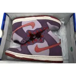 Nike SB Dunk High Daybreak Plum 313171-500 