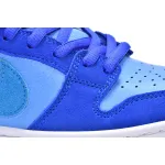 Nike SB Dunk Low Blue Raspberry  DM0807-400