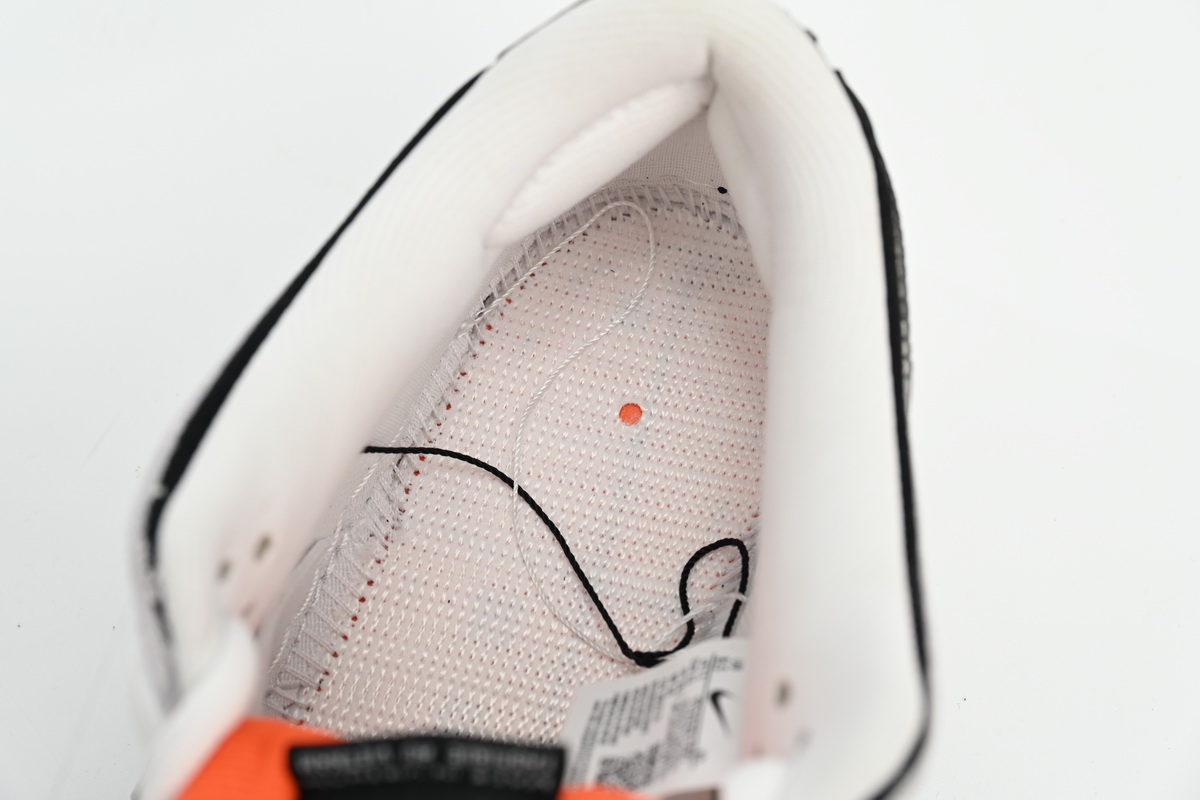 Nike SB Dunk Low TIGHTBOOTH FD2629-100 