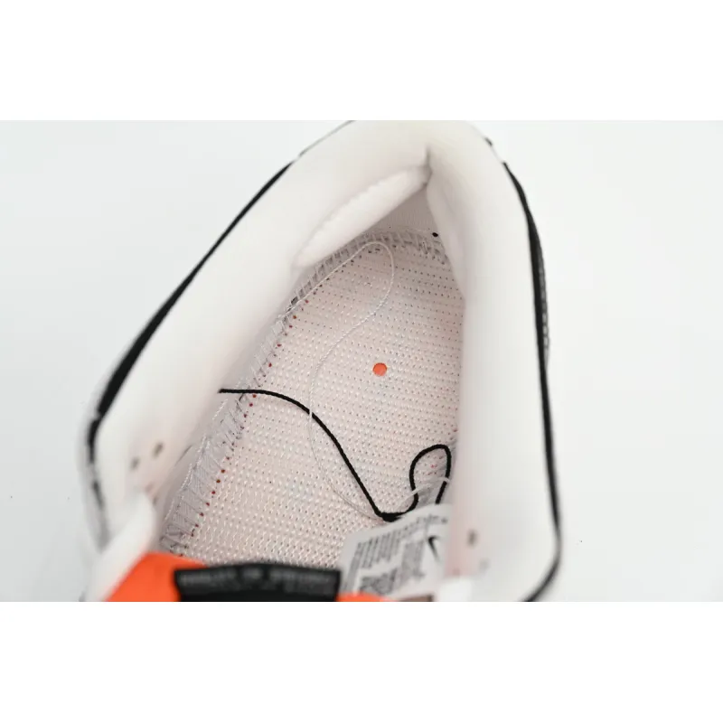 Nike SB Dunk Low TIGHTBOOTH FD2629-100 