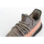 Adidas Yeezy Boost 350 V2 Ash Stone GW0089